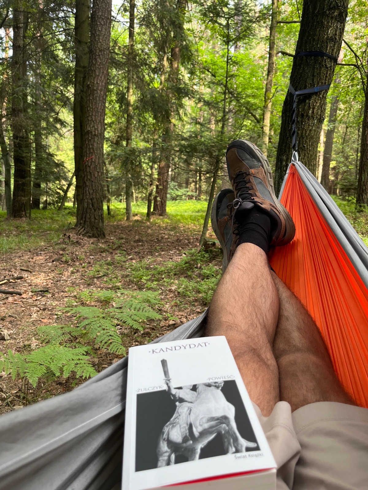 d146fcba-8097-459a-8925-dd1c33ddd9a4