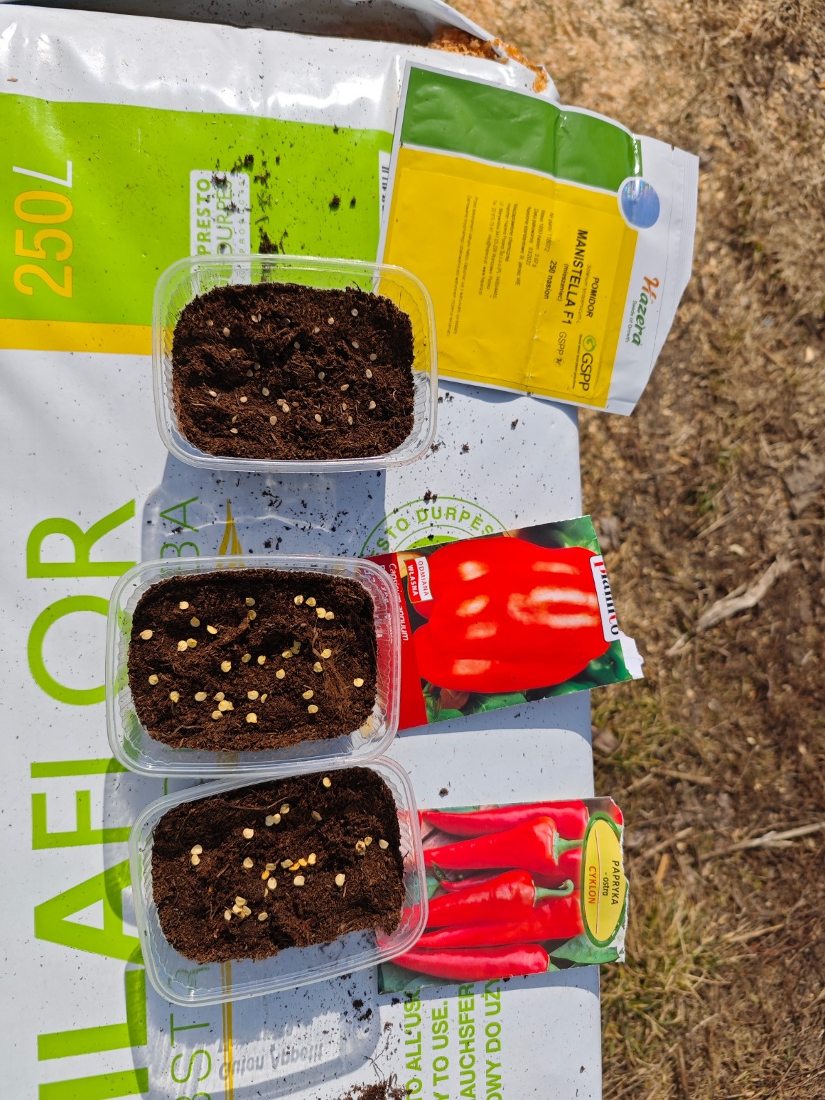 77f9c737-1536-4c39-9d86-c2a9731866c3