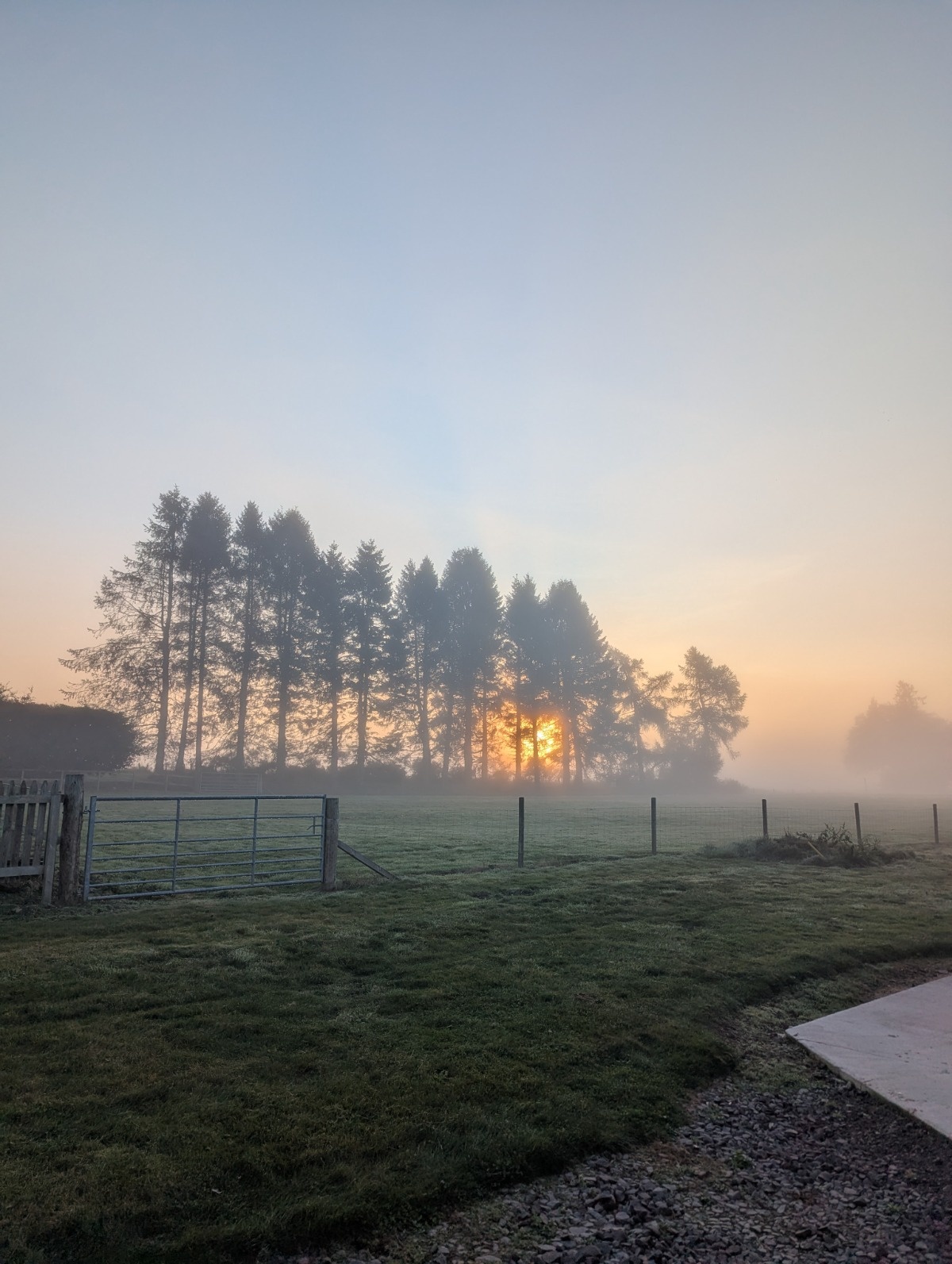 d0652a35-bc95-4e42-b02d-21faba6c57a7