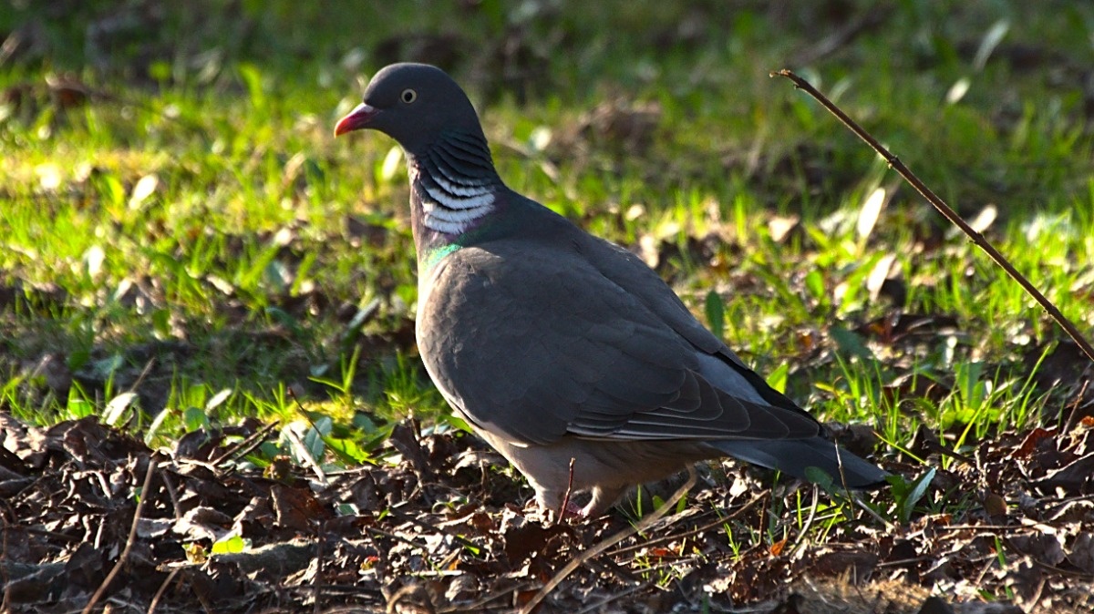 5f66fc26-b8de-4693-8cb0-cb3c1adb7b24