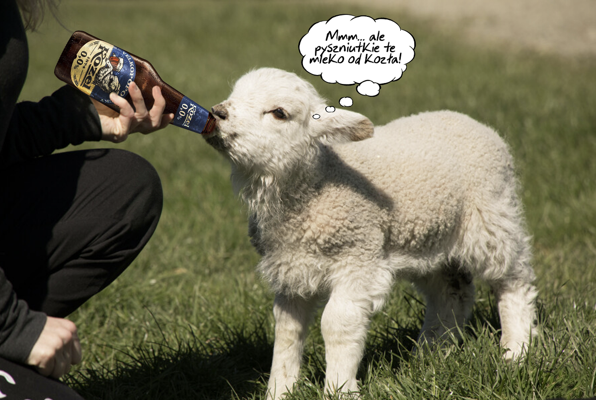 0ba1358e-640f-43f7-9f12-2a98dabaa4af