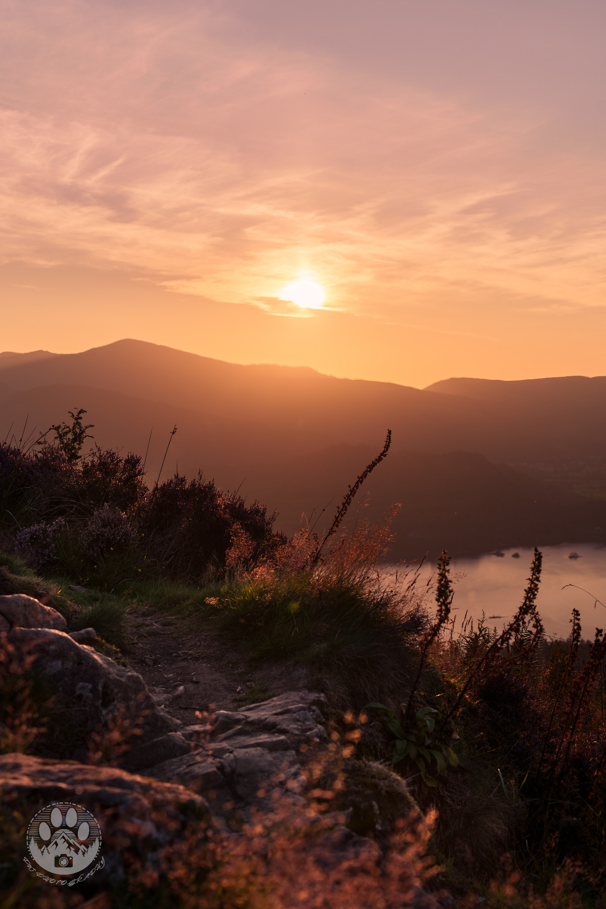 694cfc9e-1deb-4ef5-a9c1-8781c975659b