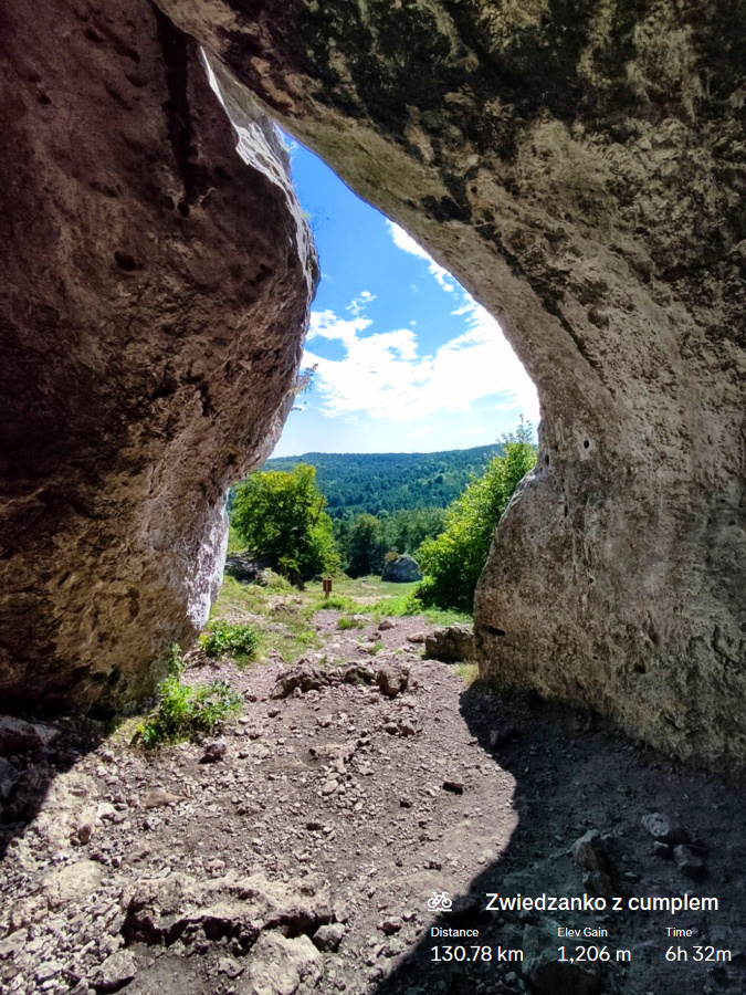 f126a17c-108f-446b-b4e5-dbcc1d8d9b76