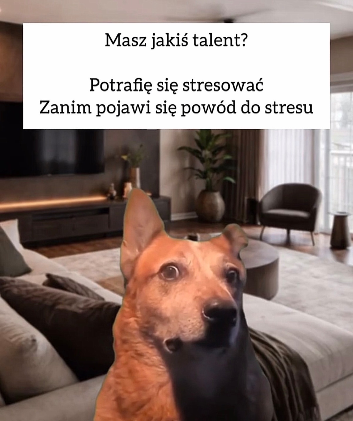 13bad600-1281-41c6-8754-b4c1f8c1da3f