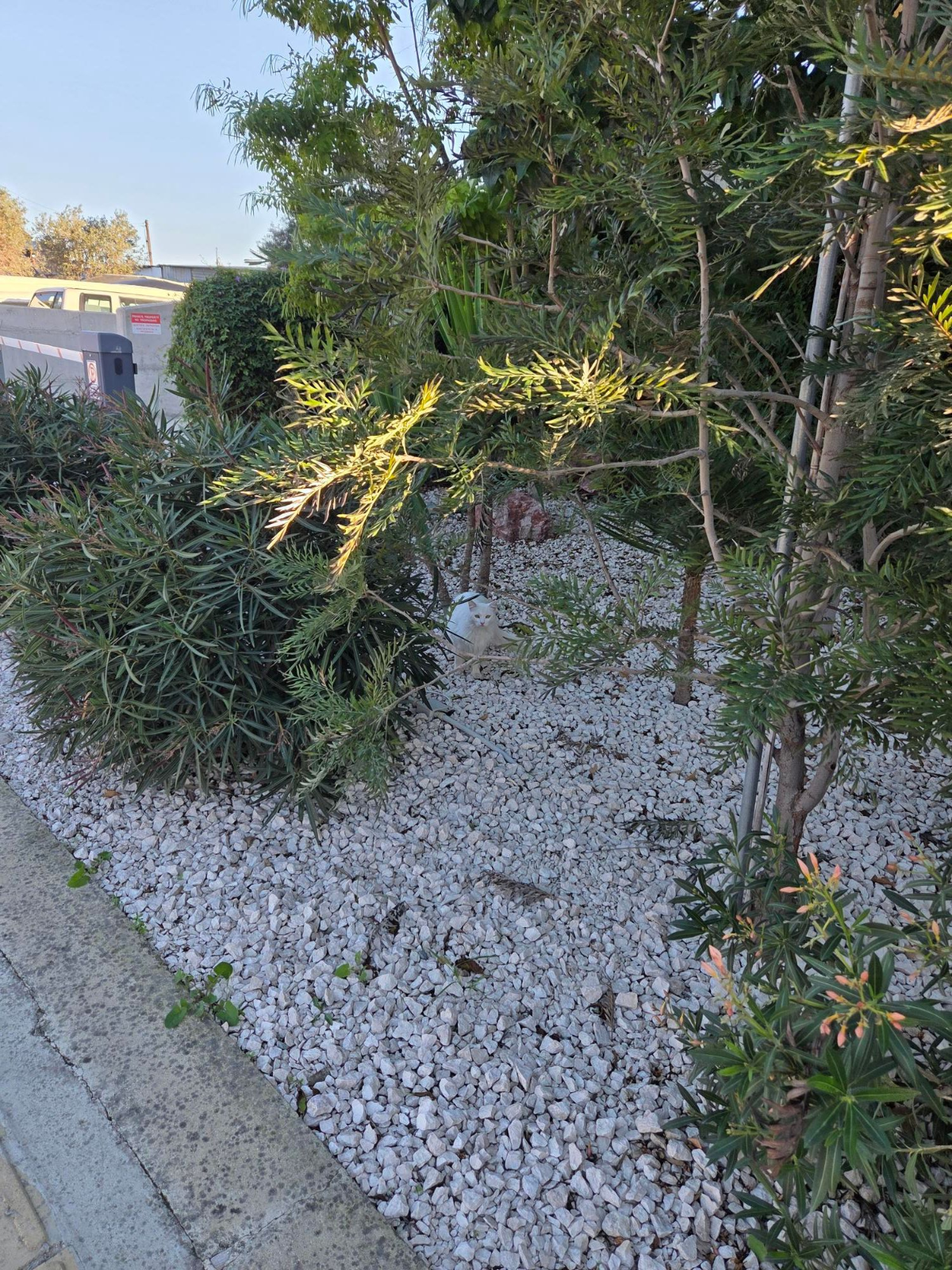 ff6ae069-039b-4868-bd1b-f25532d21cd0