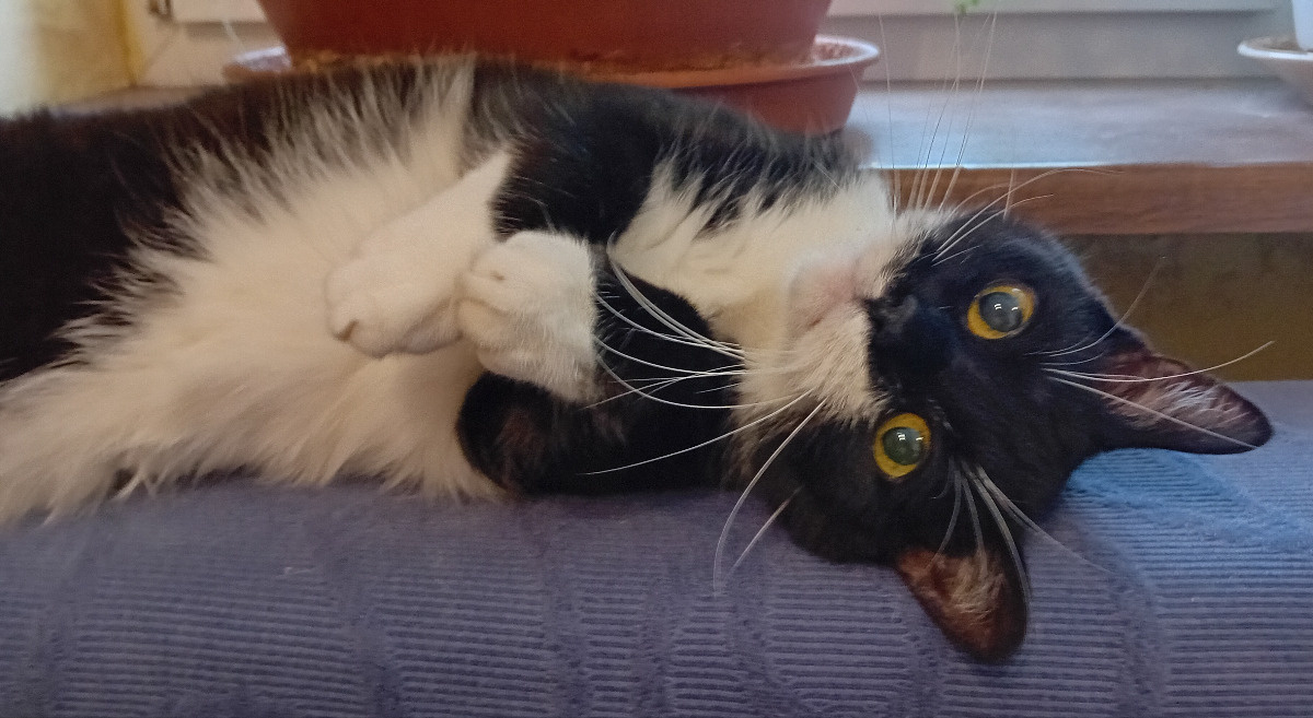 f0bd173d-471a-4360-b553-e3830fe62b86