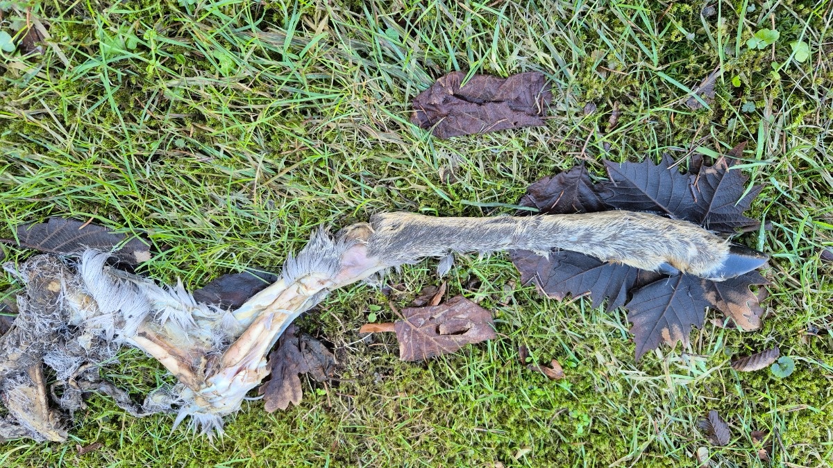 c6627f82-832f-4e85-b4b4-9eab34b6d3ed