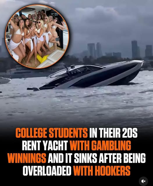 4bafb7d4-9a37-44e8-9e58-b4d1450c7c8c