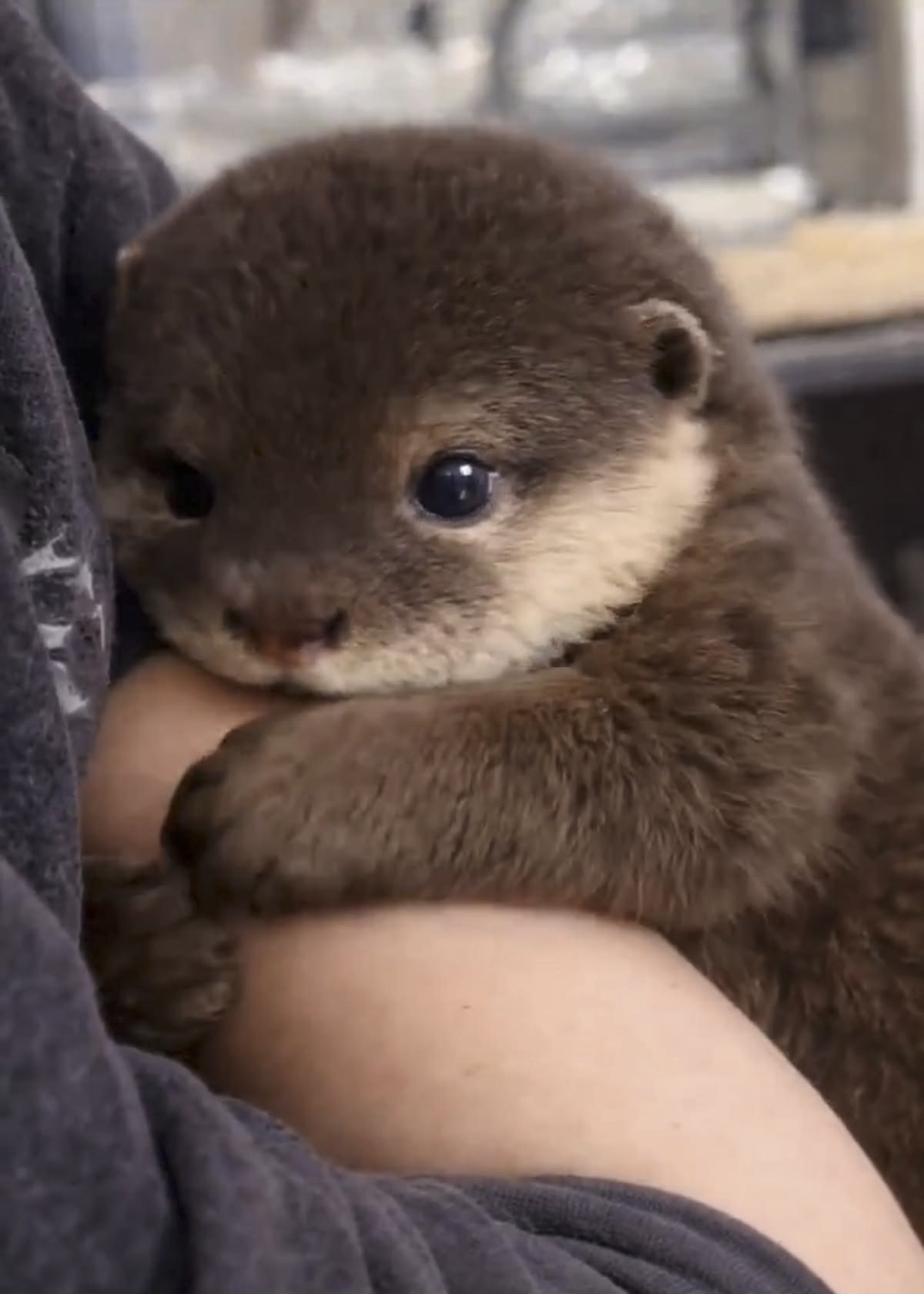 54f9af23-4700-47a3-8547-8f58f963416e