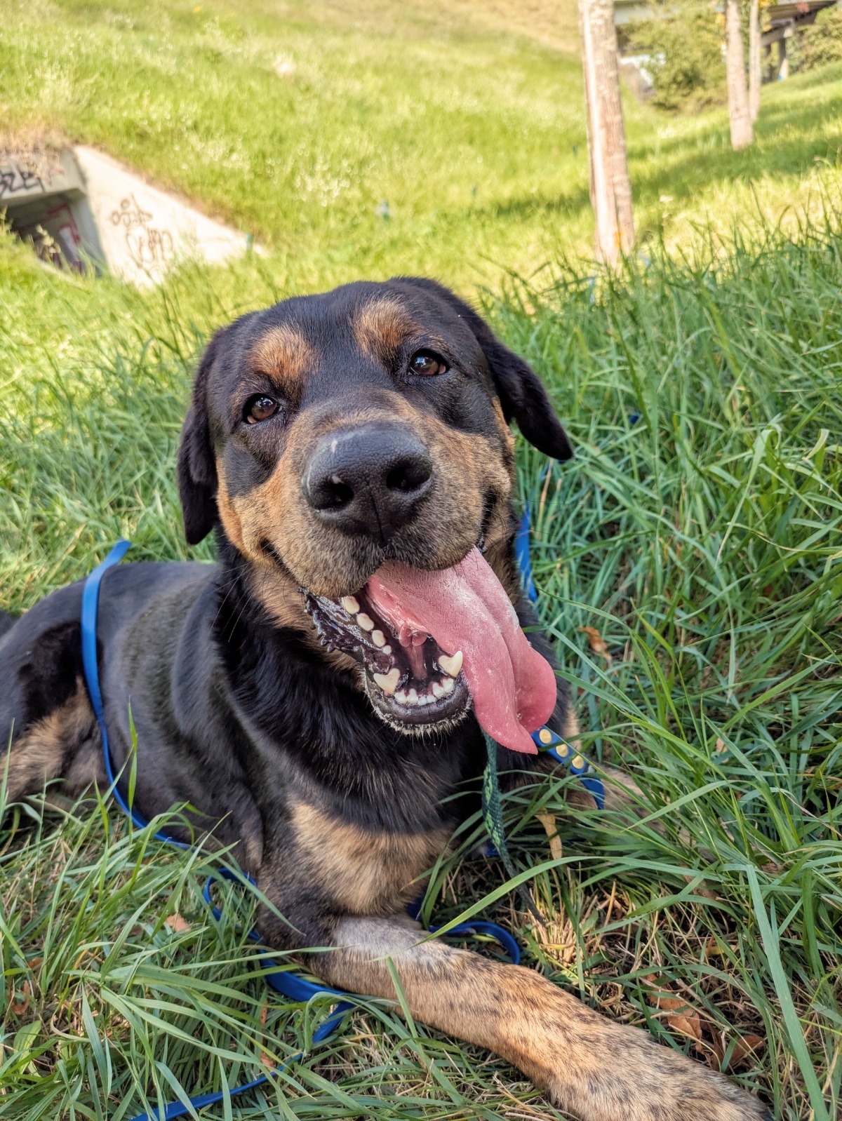 2c6163f9-dfe3-474c-ac87-79f1bb2e22ee