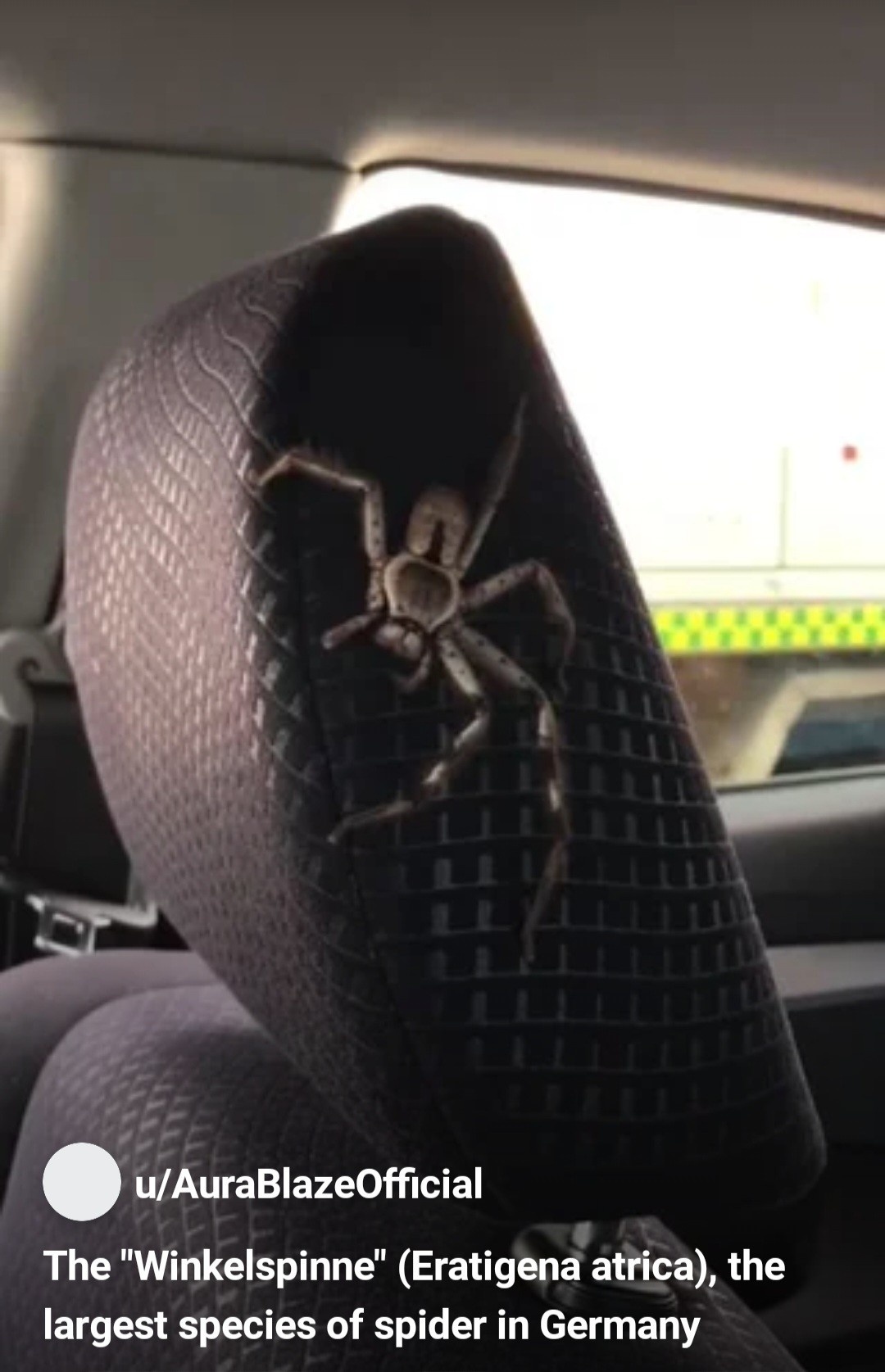 80713a82-50c2-451e-a988-88a820d7a951