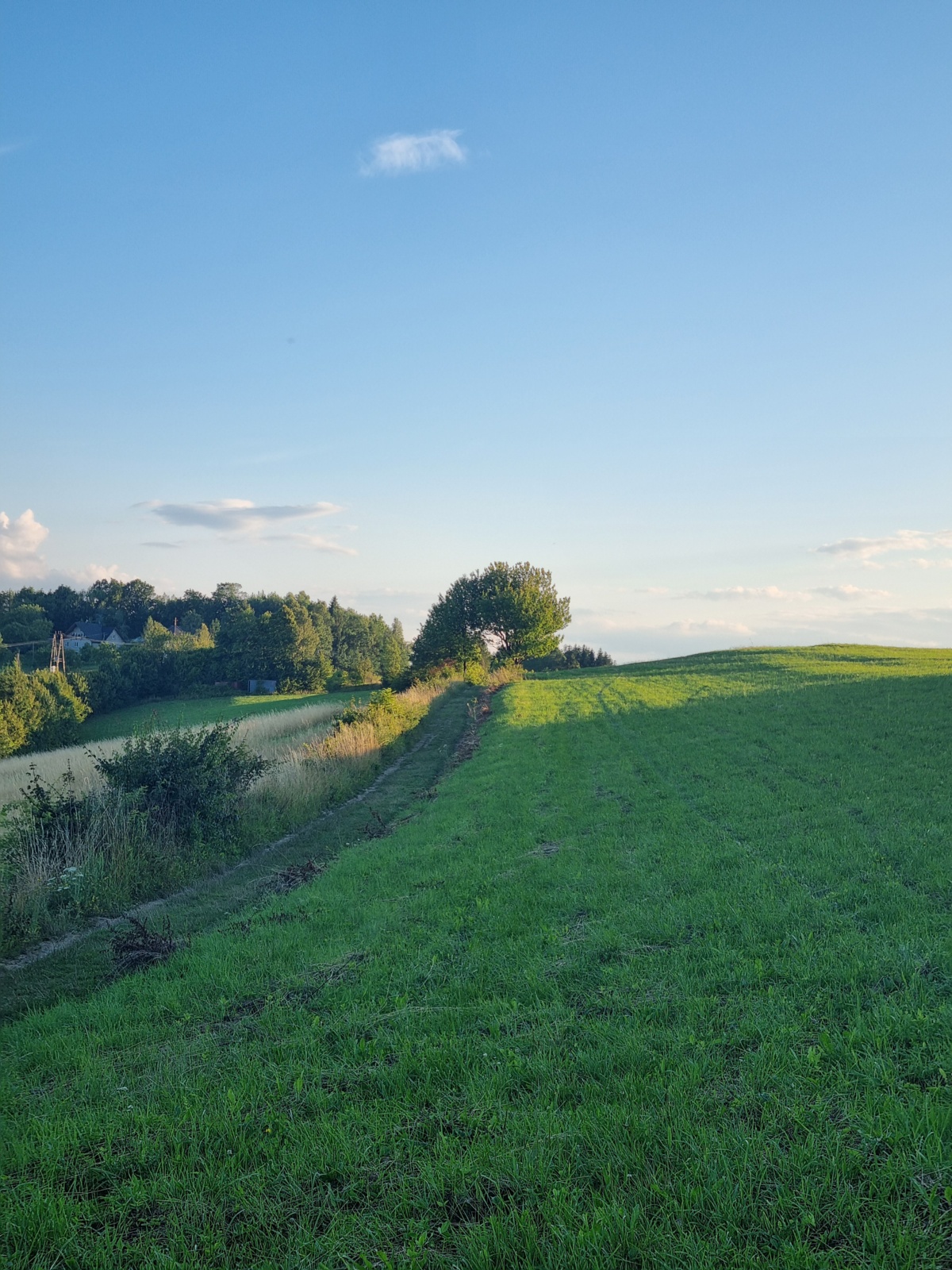 e95aafca-18b2-40d7-868e-10835a2e3771