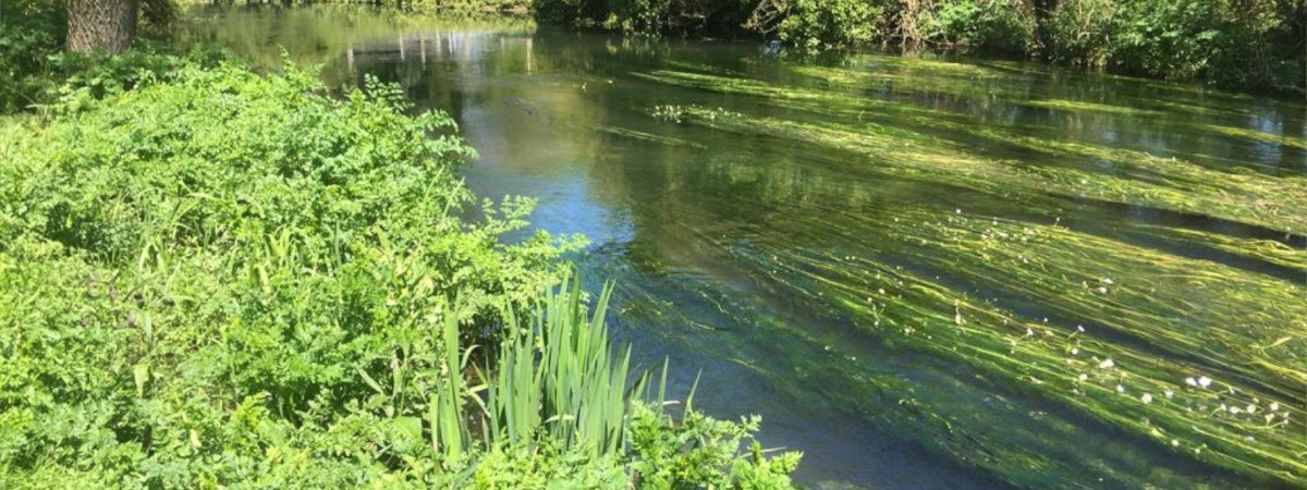 5f9fbeb5-faff-4782-b4a5-a608e4ac070b