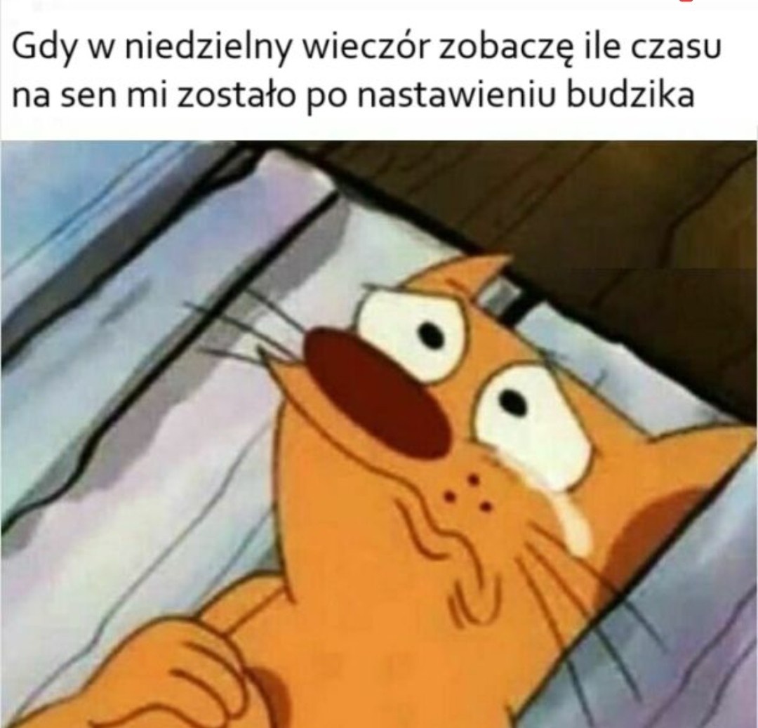 6c69c20d-284d-4eb7-af76-074d363c8975