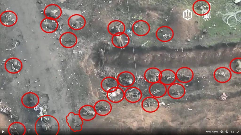 ba9c966d-acfb-4f7a-b8df-28735f6e1c2b