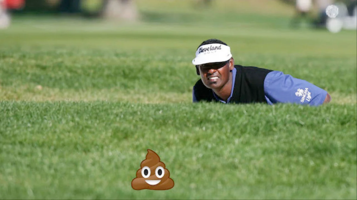 a8a6e982-d1d2-4aee-b689-4f8feebfd9f8