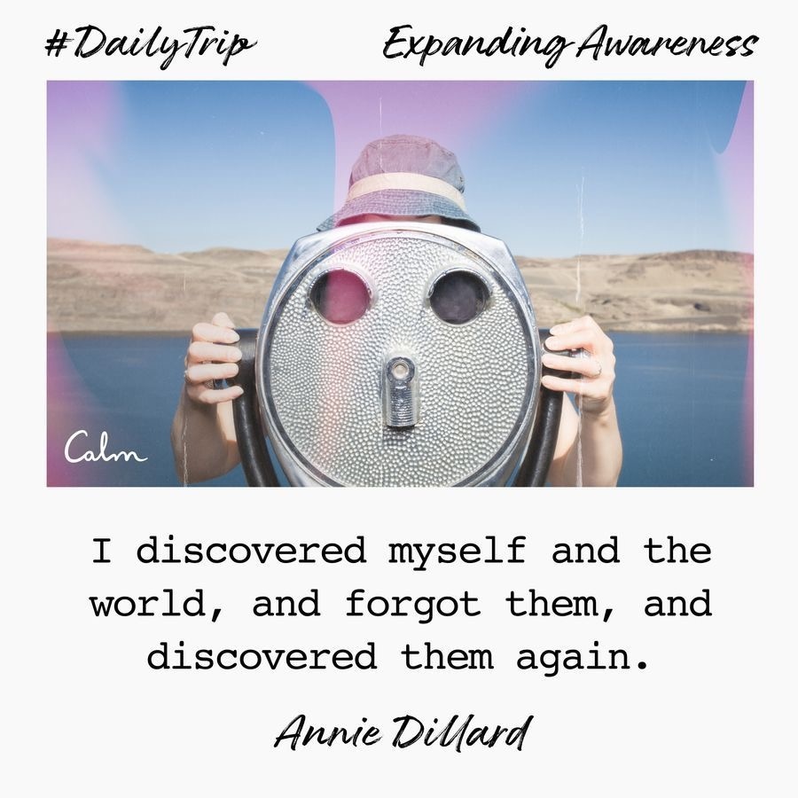 a61b95c3-d6c7-4aff-8722-df4cc0e34ca0