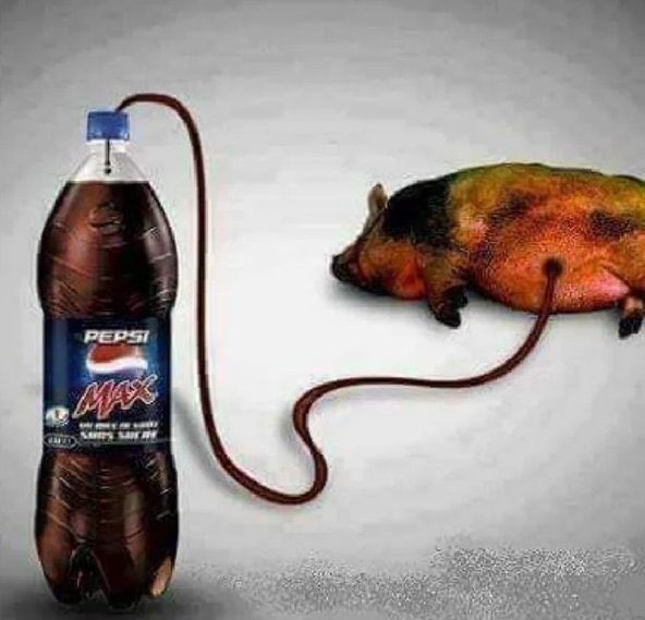 d8550bb0-be6a-468f-a63f-13391b8dac41