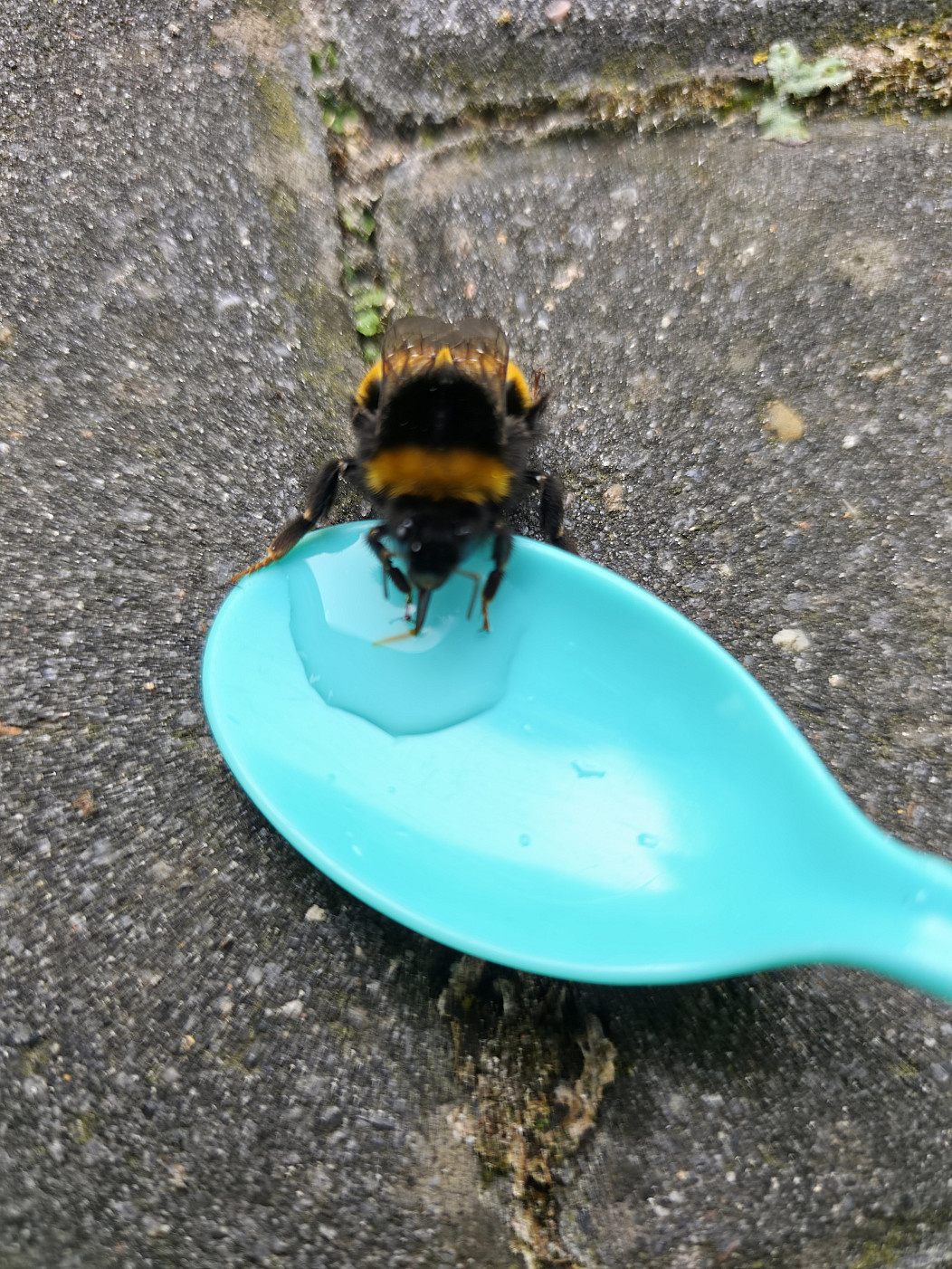 391a5058-201d-4fa2-a265-421517a68e15