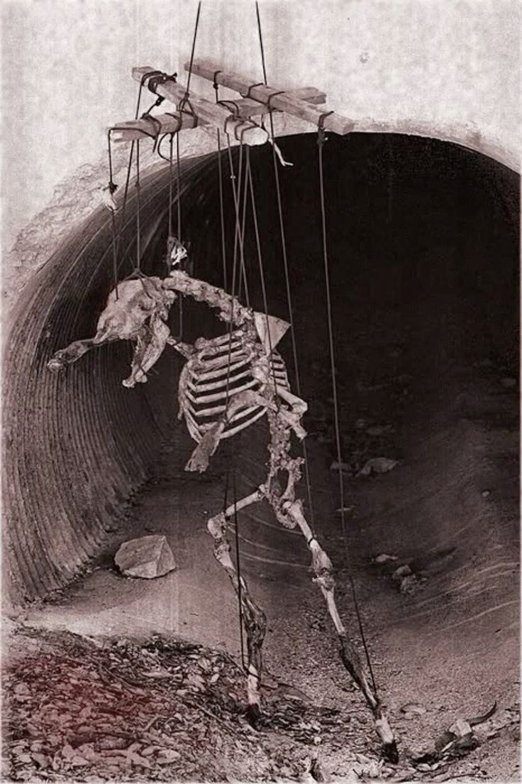 0b0a26dd-17a6-45e8-8916-ad92d308a881