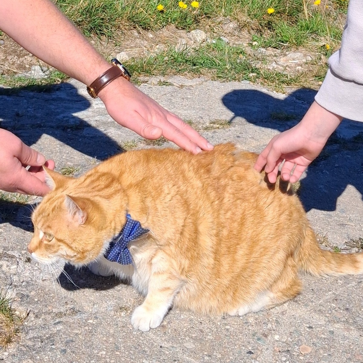 be32f9bc-981c-4b37-8304-c91420549265