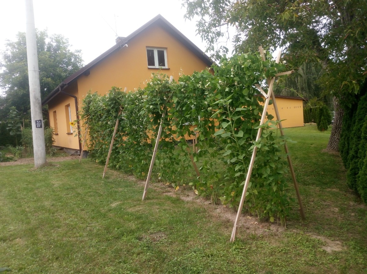 e7f852d1-de26-4c77-8b65-54d066624cab