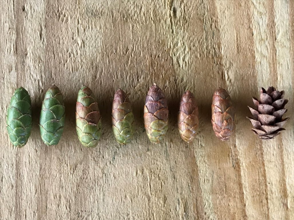 68f82c8b-925a-4425-aa61-afa187aa5f31