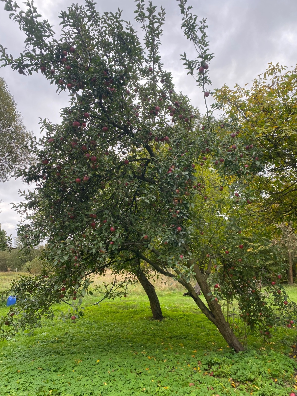 64d8072a-6aac-4b1b-8a07-d66c98a62cc9