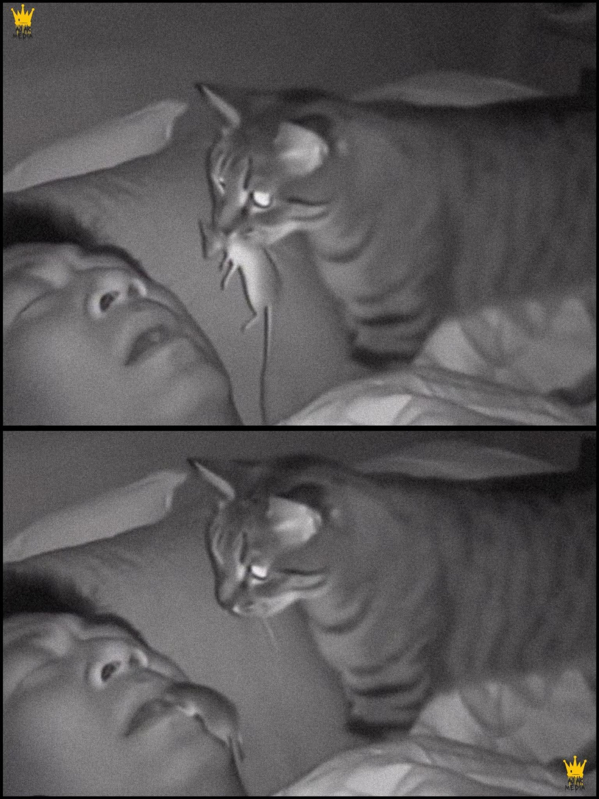 6991d168-8d12-443d-b926-80d5c21a27bd