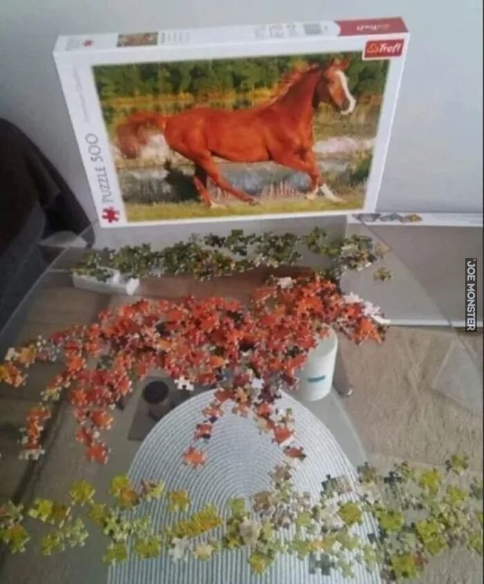 2cca72f3-6e2c-48f8-baae-aef6942c5ed1