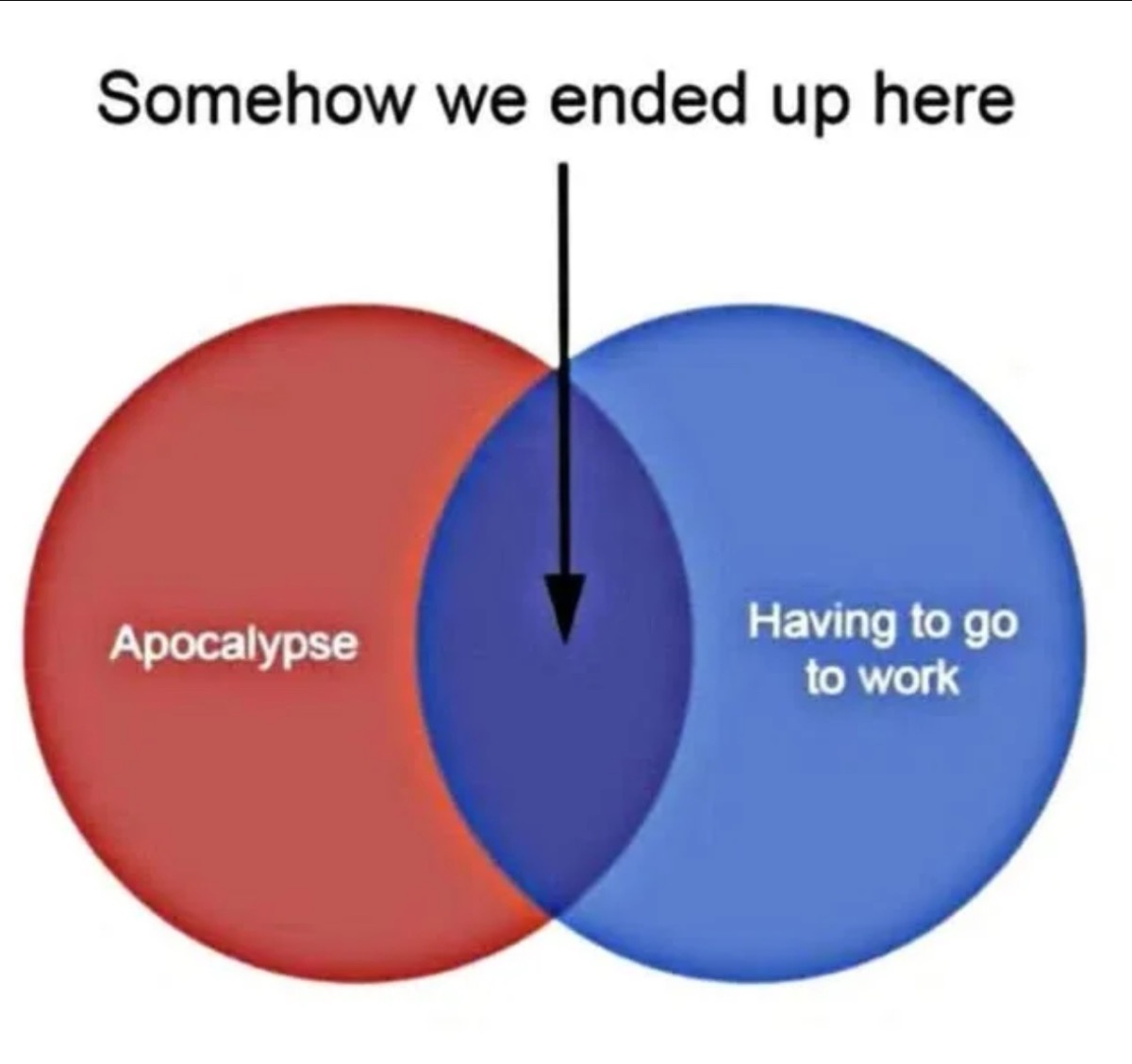 2a12733e-d29c-4359-a72e-f2818e7a528d