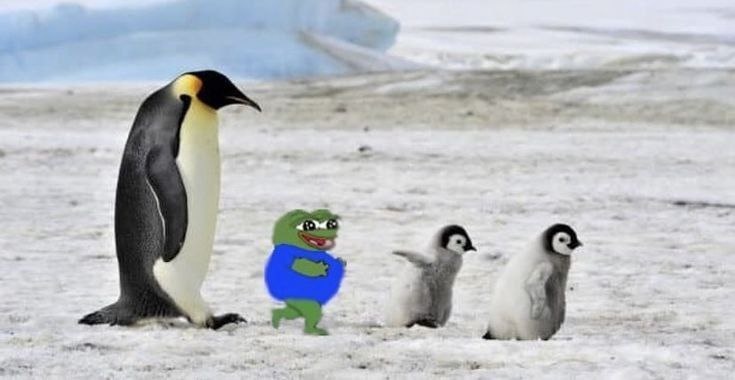 de8f982b-1fff-443e-9286-32c9aeca949a