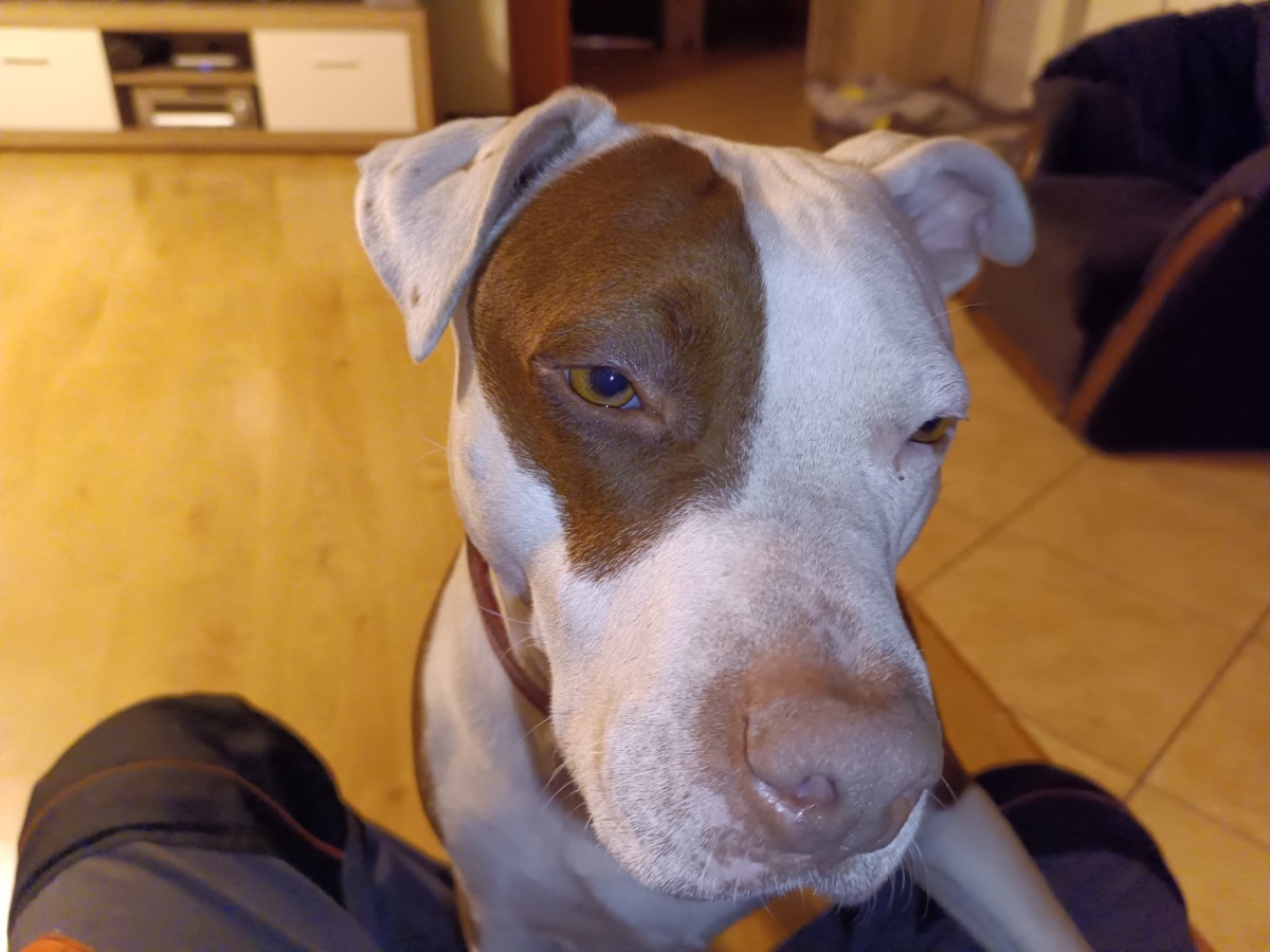 3c58e182-02d8-45ea-b4d5-a6b4f3f0631c