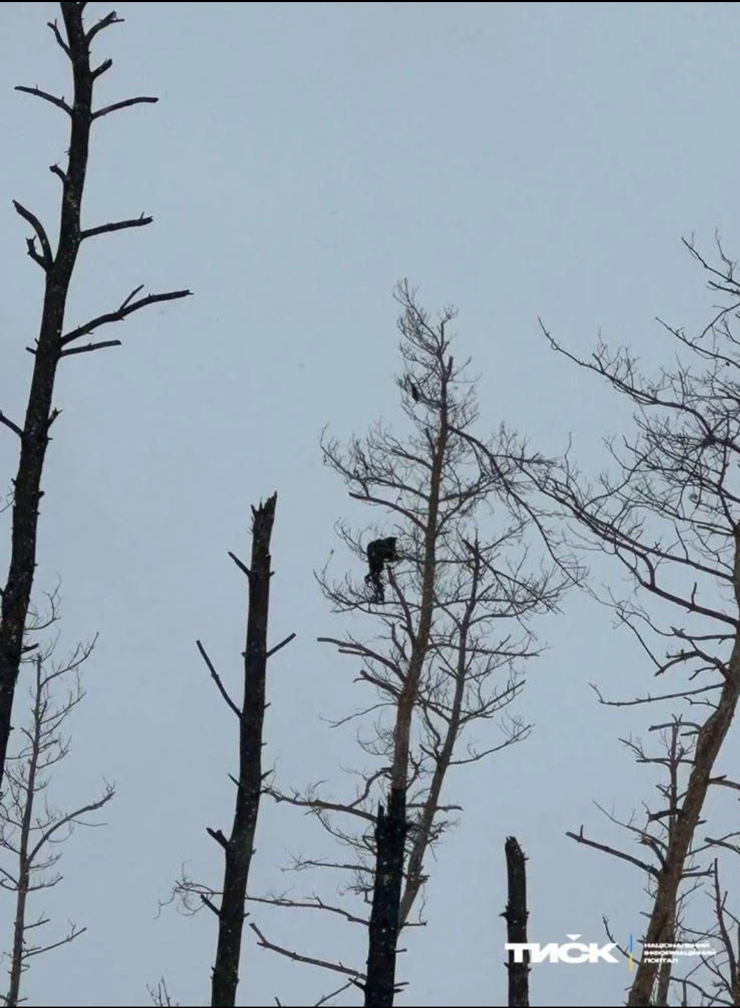 71343bbe-3ff7-47ab-b59f-54114aec8ec2