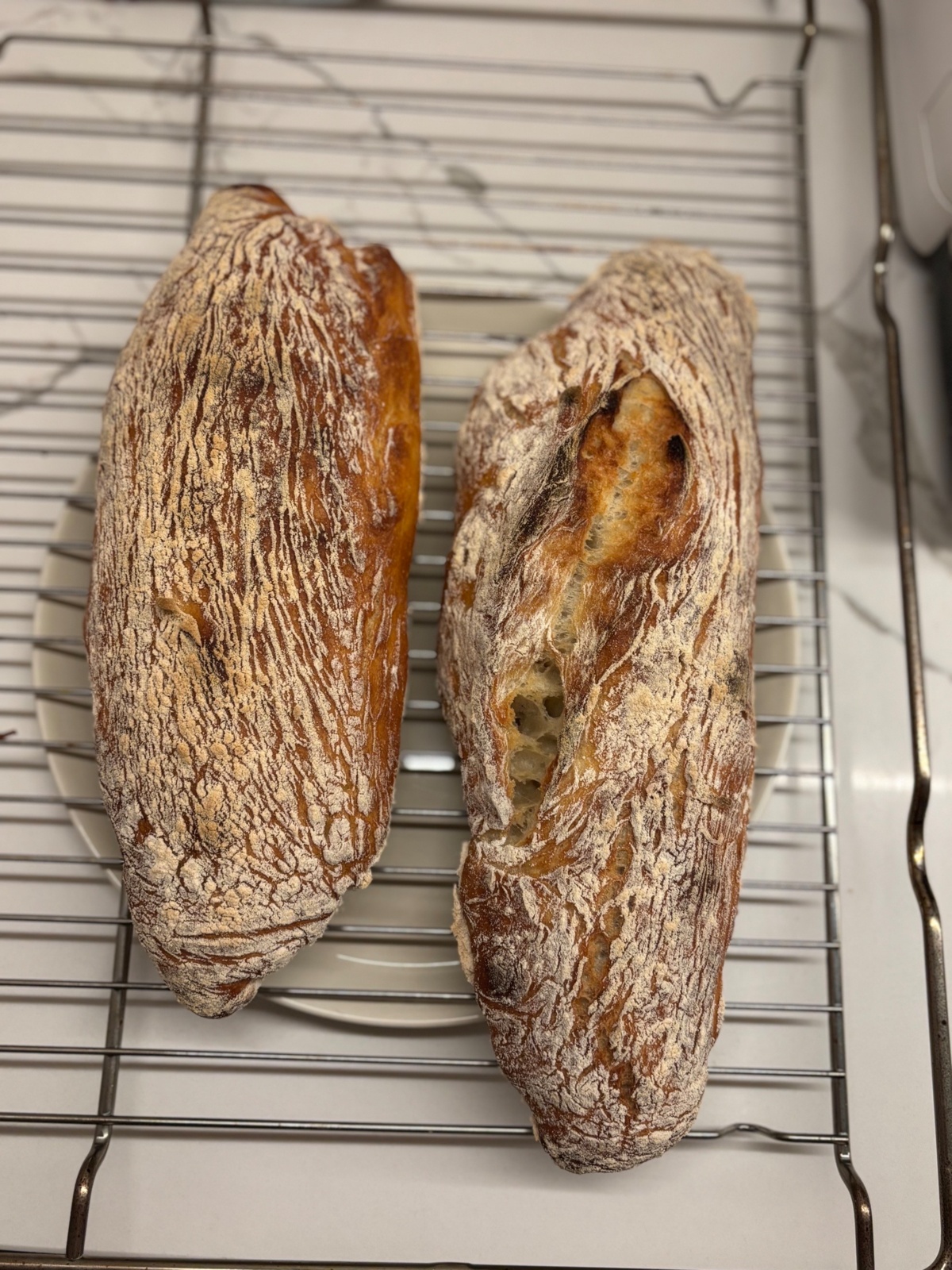 261233a9-eb51-4214-ba2a-72a34d277d3a