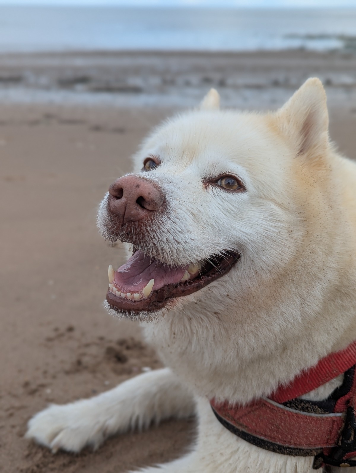 91179309-1d57-4307-a6eb-4f6a2b6c3233