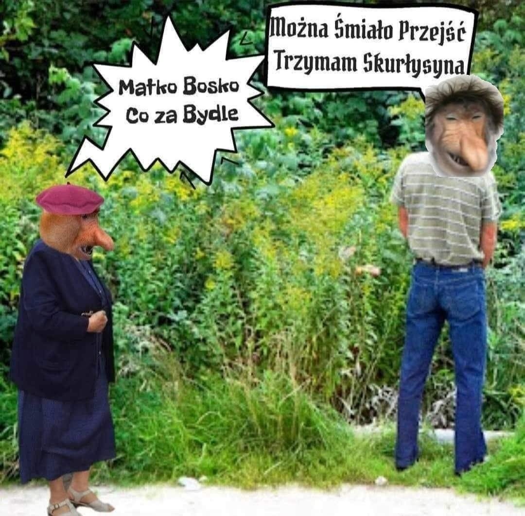 ba7766b4-93e1-4670-9ae5-1725683540c5