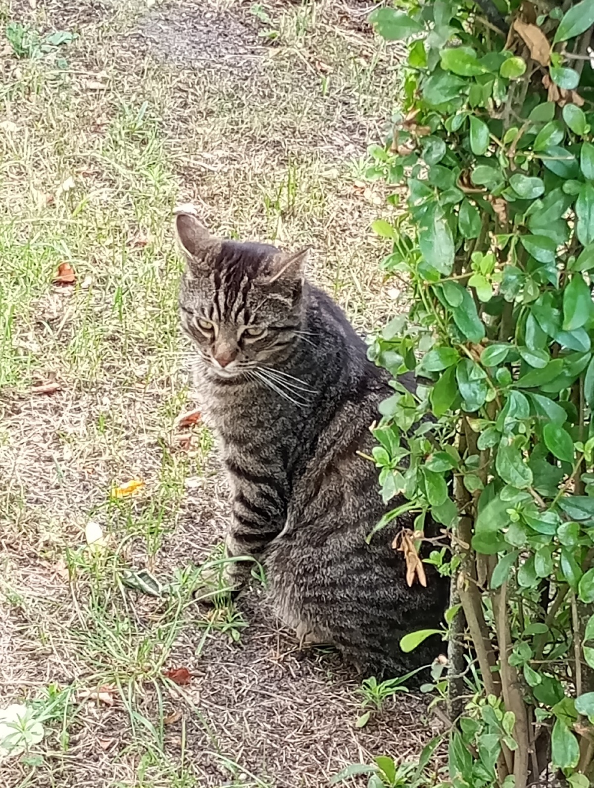 ebc053e5-db6c-4d67-a9b7-ea166d96bcca