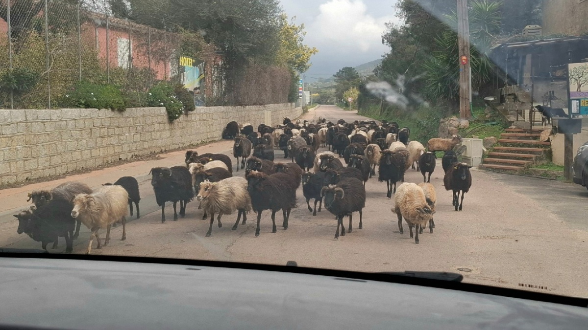 8b9531fc-5c99-4148-9576-6a12bd7a2627