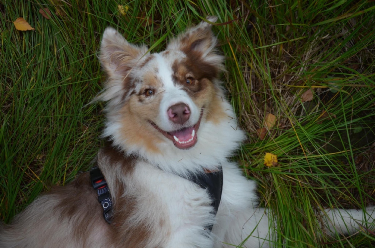 276be0d4-95af-41b7-82dc-6c60a2372b2c