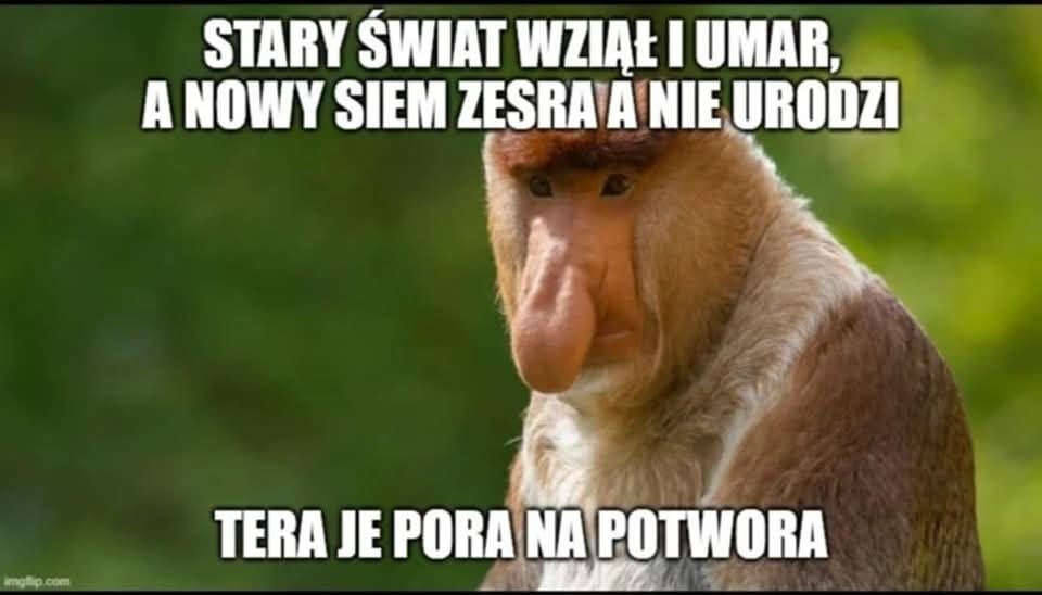 2554d69b-9c68-410d-86e2-c9823d536d63