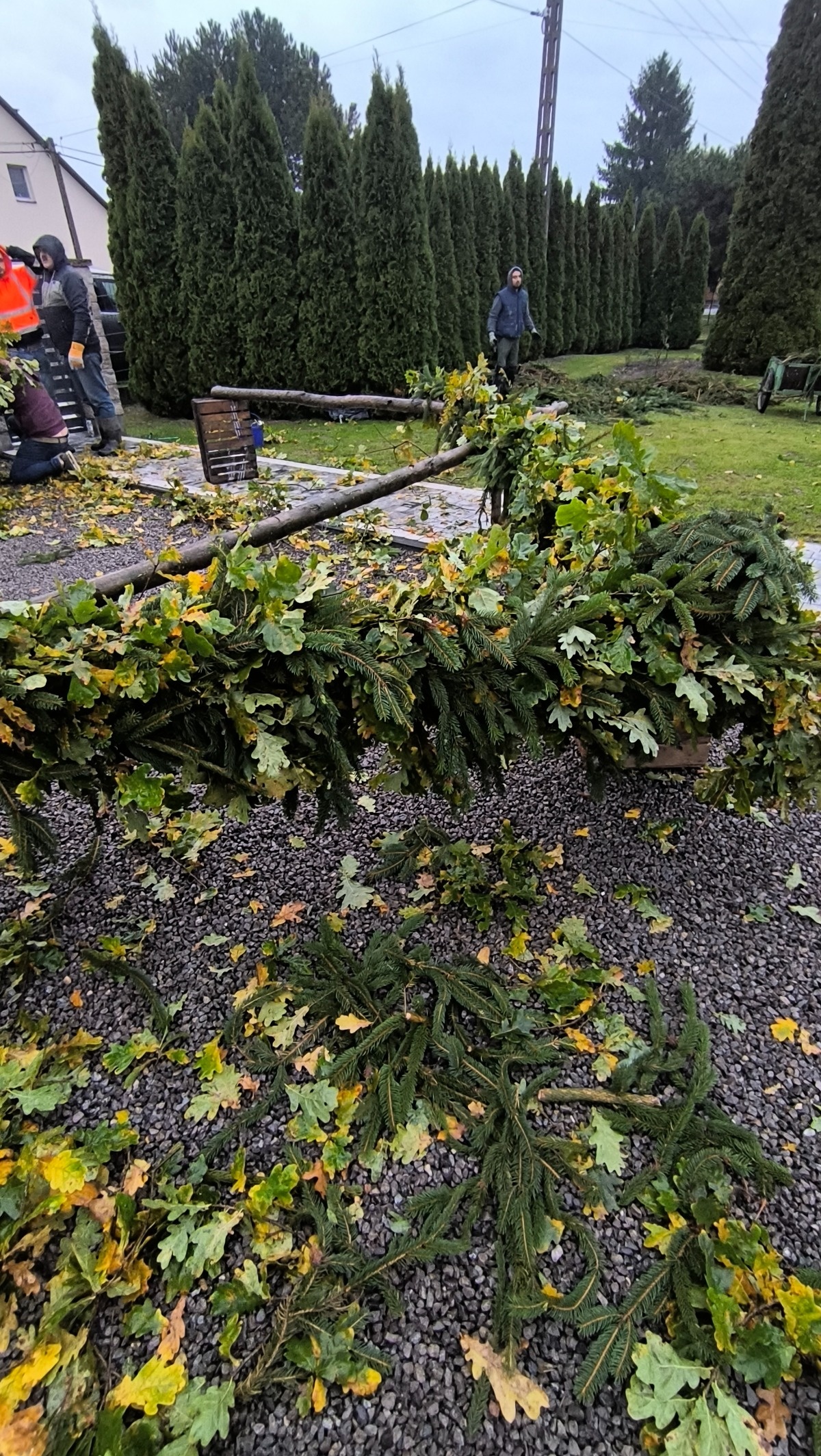 e848455e-0b90-4468-bc44-1efcb11b6bbb