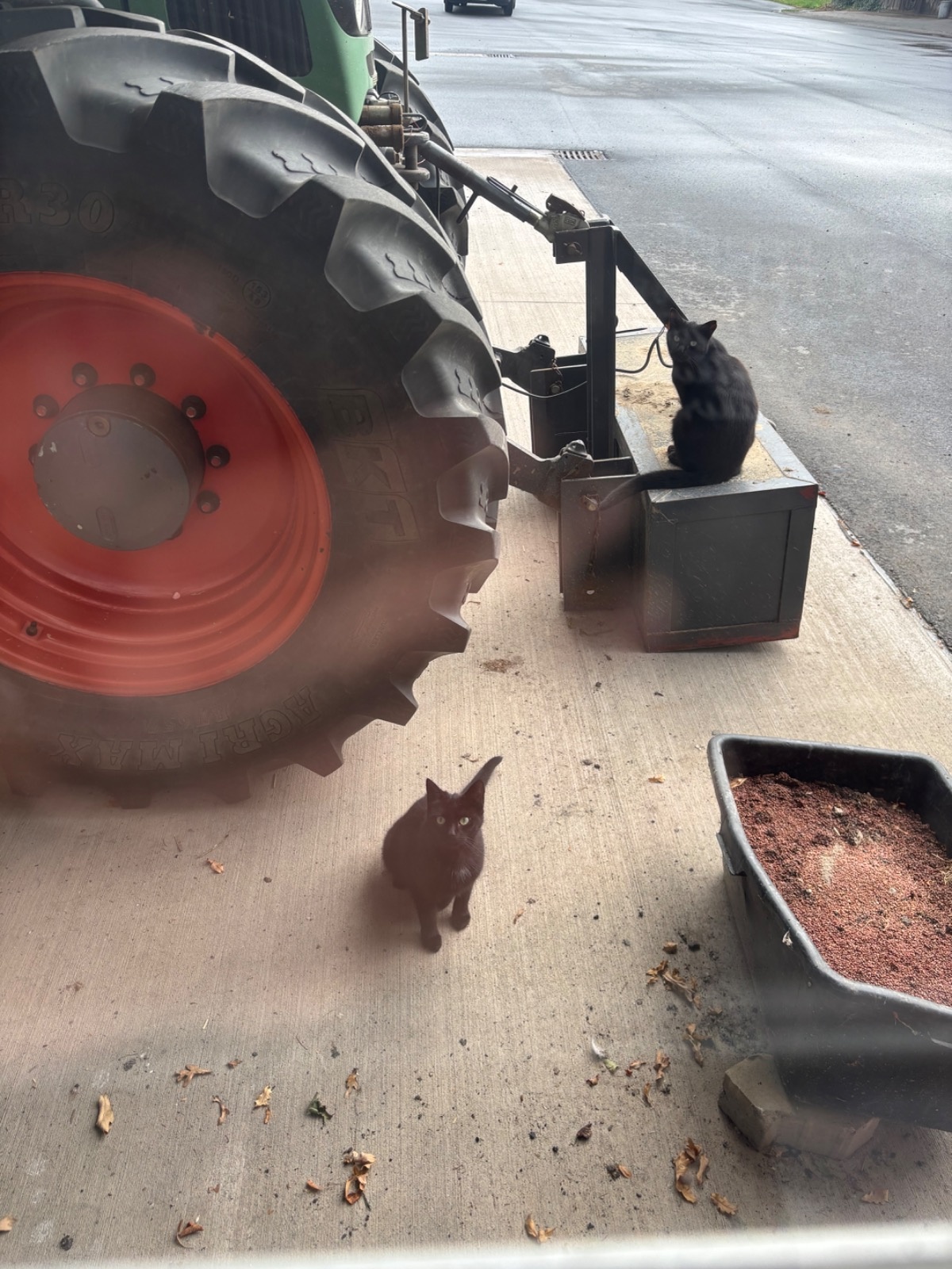 bd59bf07-480d-4002-b6fa-196fde529410