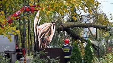 Wichury nad Polską. Cztery osoby nie żyją, kilka jest rannych