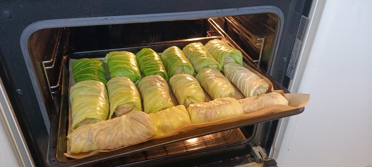 19e6f3ca-9956-4829-8789-18ee2dab4e46