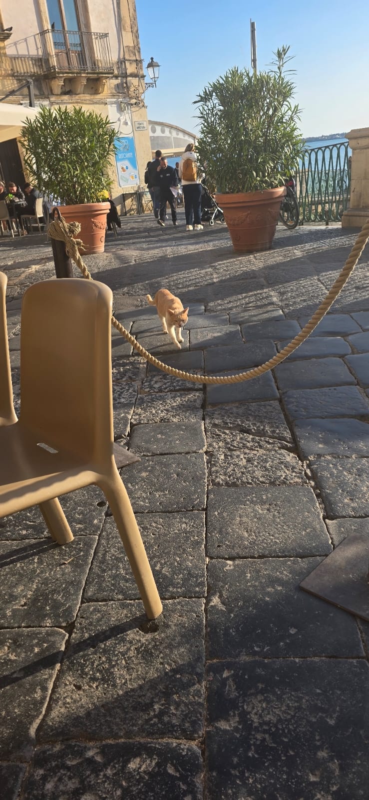 863a7ef5-cc4d-4048-b32e-ab96f5a2e24e