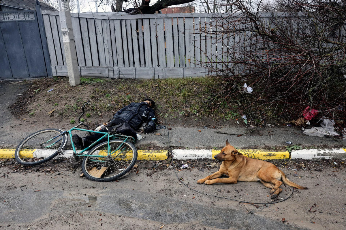 7bfab1bf-fcde-4314-b034-ca35e4df8f40