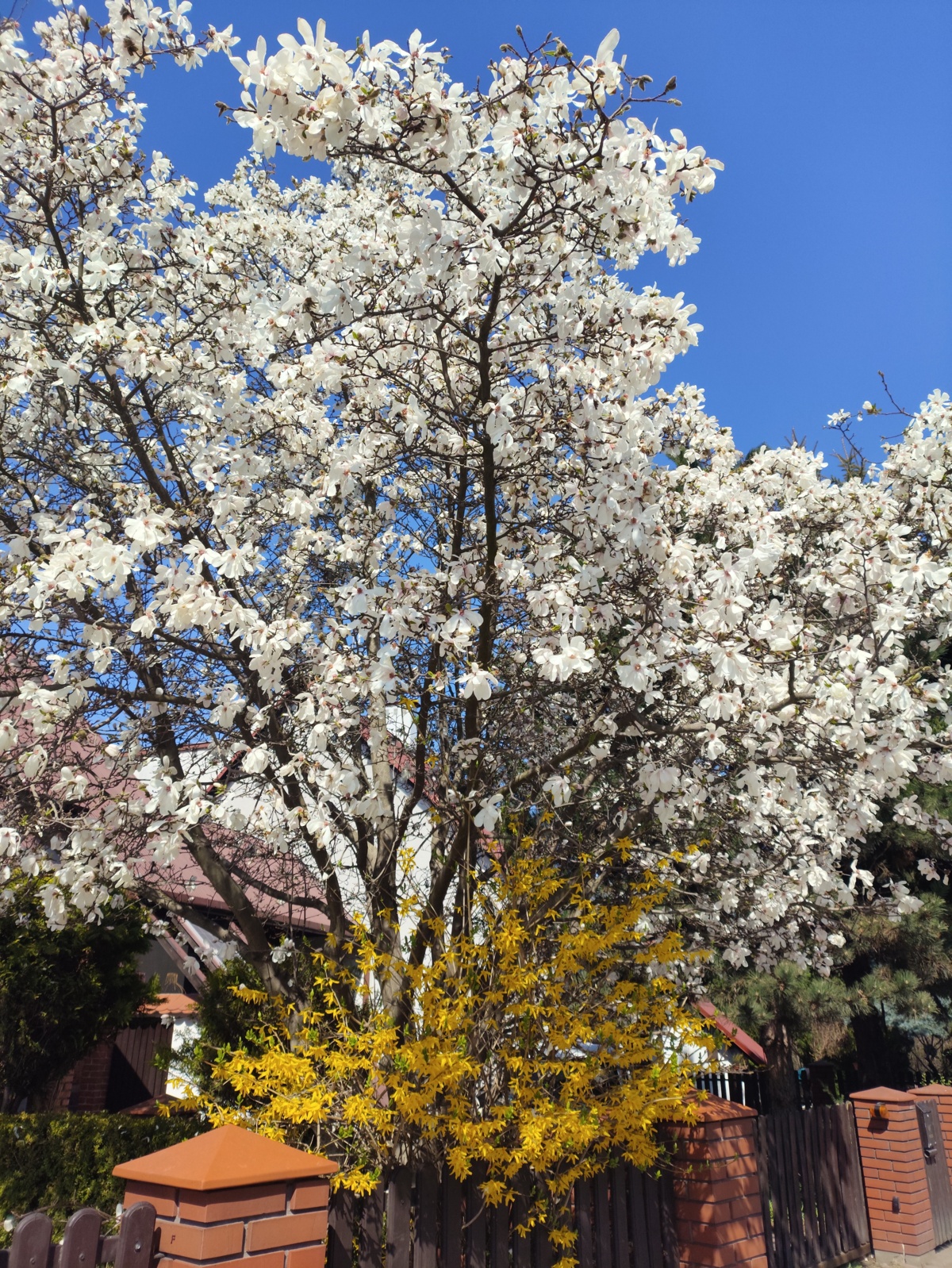 6308a23b-b446-40e3-8b9a-3eff289121a9