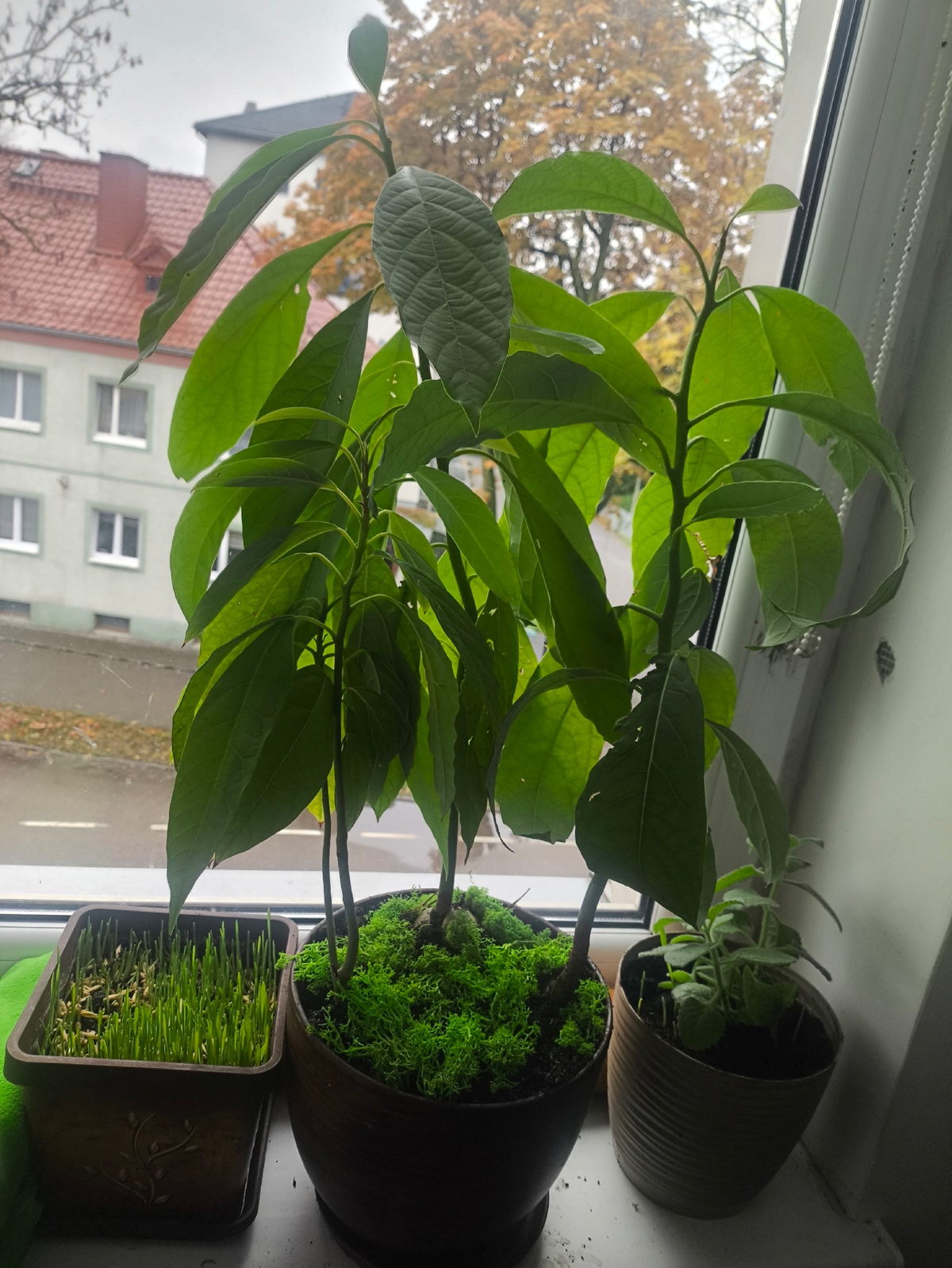 59ce73e6-cf7c-45b8-b943-39f0688d7c44