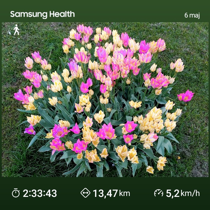 e31146a2-724e-4e1c-ab0d-daf112fb057a